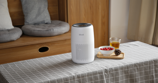 Air Wellness: The Next Big Trend in Home Design