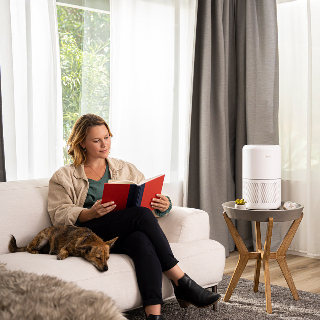 Levoit Core 300S Smart Air Purifier