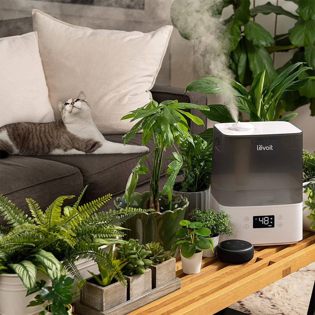 Levoit Classic 300S Ultrasonic Smart Humidifier – Levoit-SG