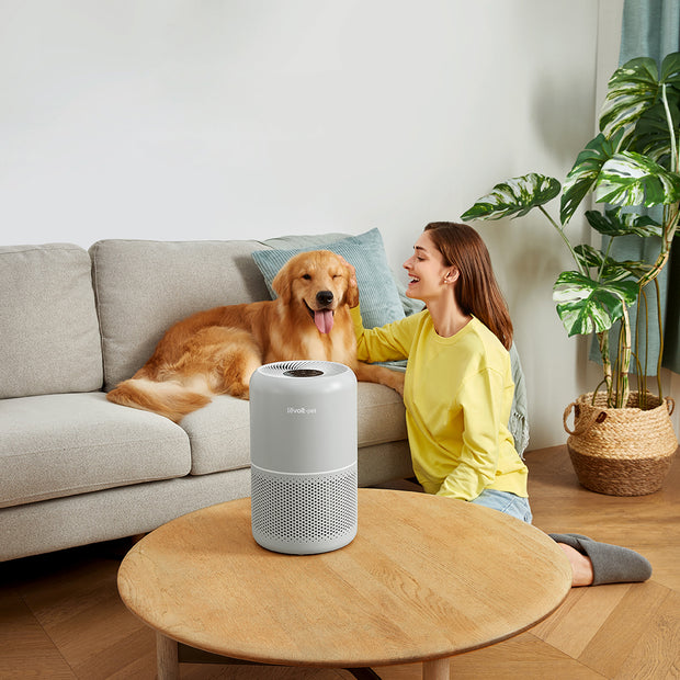 Levoit Pet Series Family Package