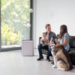 Levoit EverestAir® Smart Air Purifier