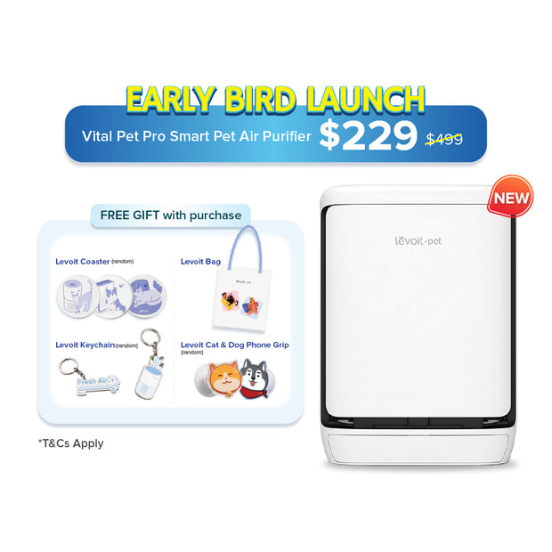 White smart air purifier with black top panel, pet-style design
