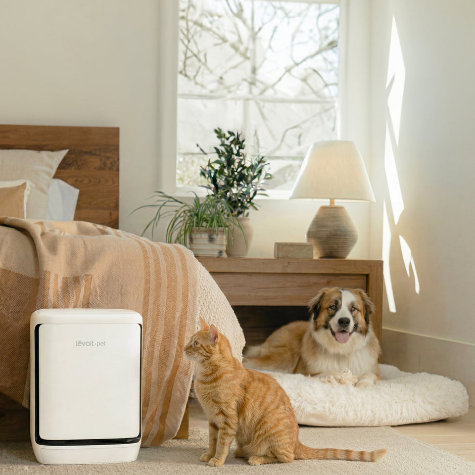 Levoit Vital Pet Pro Smart Air Purifier