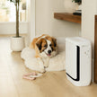Levoit Vital Pet Pro Smart Air Purifier