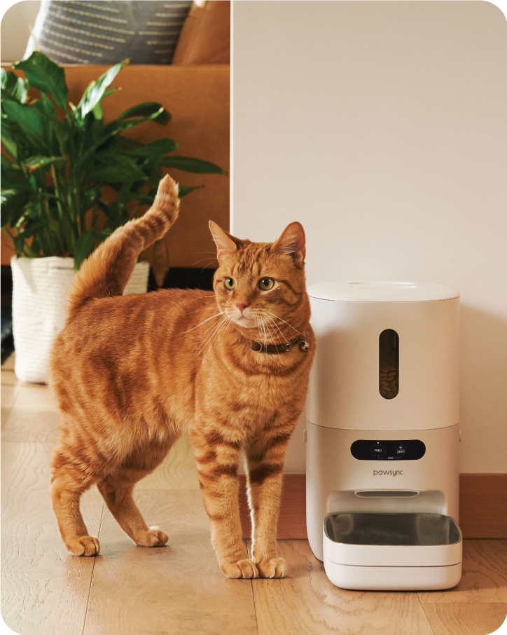 Pawsync Smart Pet Feeder