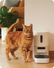 Pawsync Smart Pet Feeder